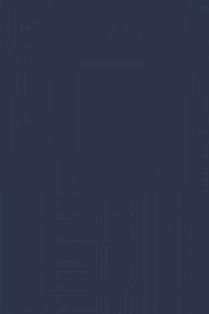 FARROW AND BALL DRAWING ROOM BLUE NO. 253 PAINT